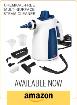 portable cleaning steamer