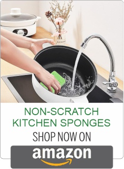 kitchen dish scrubber